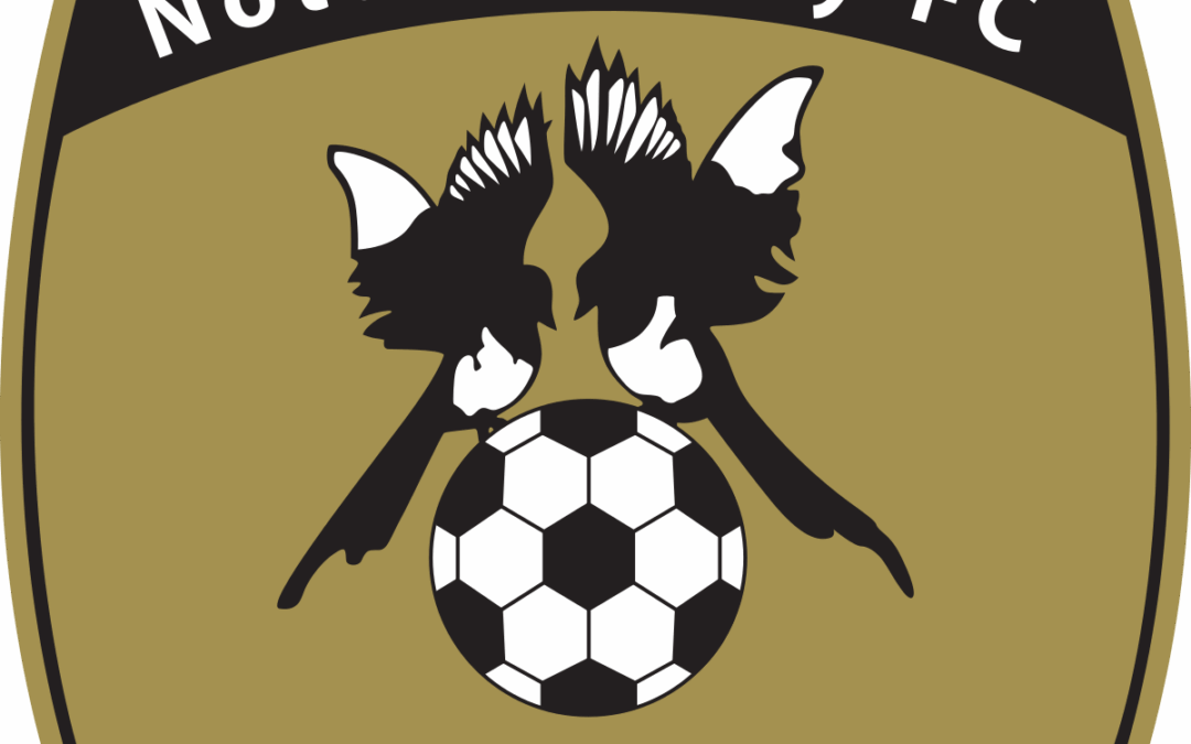 One for sorrow: The story behind Notts County ‘s magpies